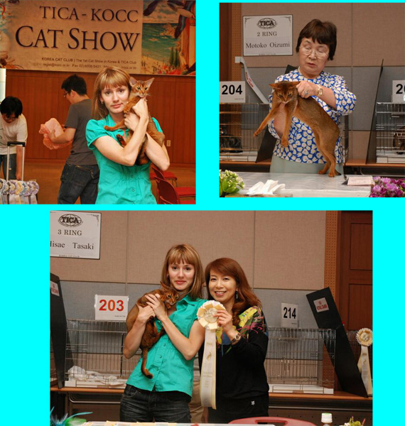 Oksana with Lorelei at TICA show in Korea